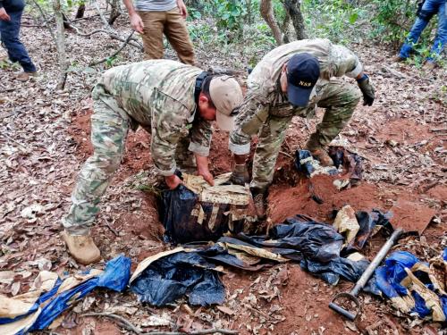 Hallaron 3 toneladas de marihuana ocultas en una fosa